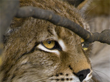 Фото новости