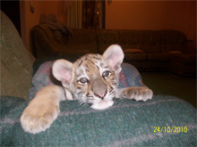 Фото новости