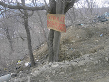 Фото новости