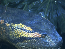 Фото новости