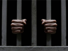 Фото новости