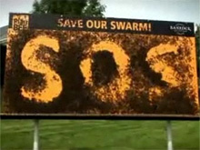 Фото новости