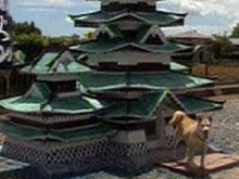 Фото новости