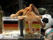 Фото новости