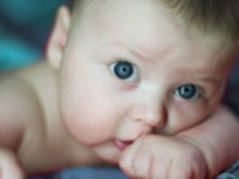 Фото новости